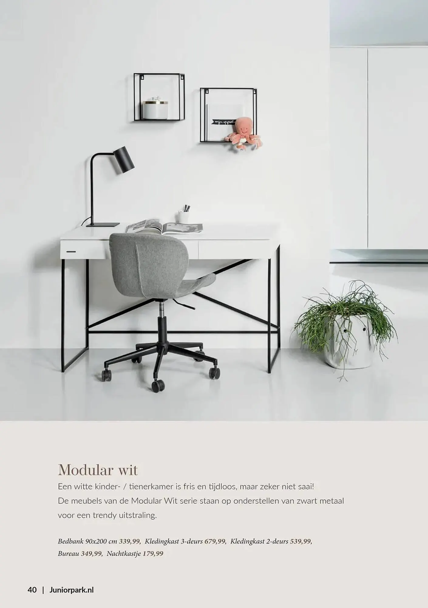 Babypark folder van 11 maart tot 7 april 2025 - Folder pagina 40