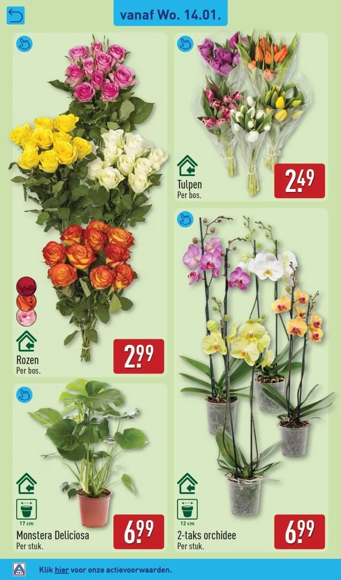 ALDI folder van 12 januari tot 18 januari 2026 - Folder pagina 30