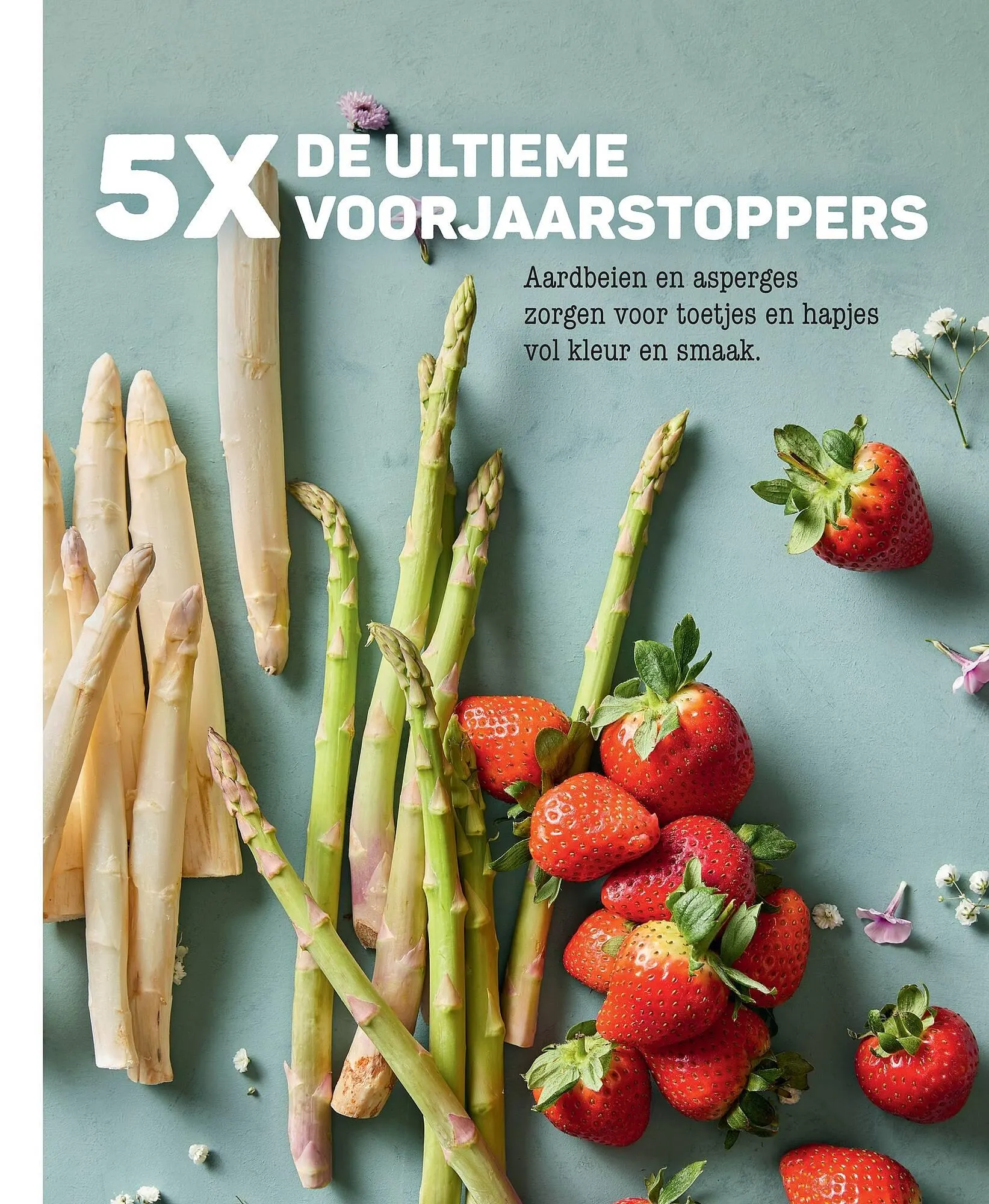 Ekoplaza magazine van 18 maart tot 21 mei 2026 - Folder pagina 73