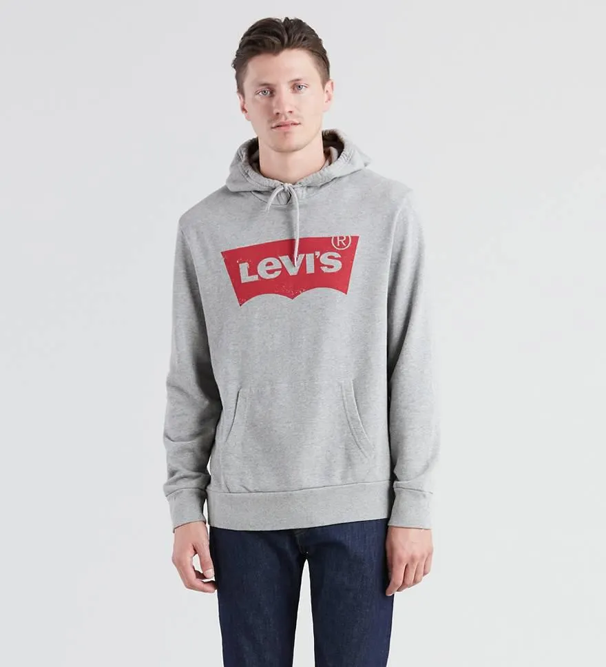 Standard Graphic Hoodie