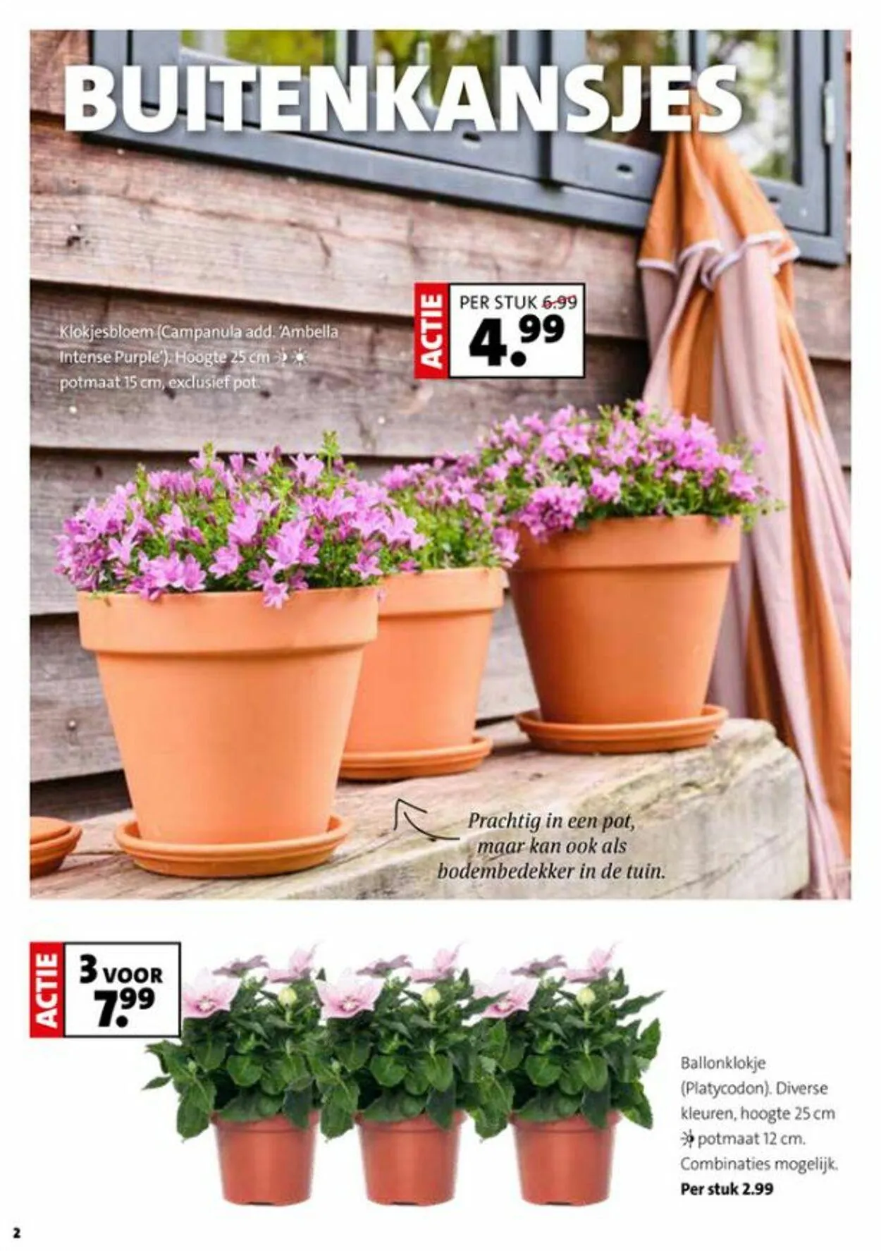 Intratuin Actuele folder van 26 oktober tot 9 november 2025 - Folder pagina 2