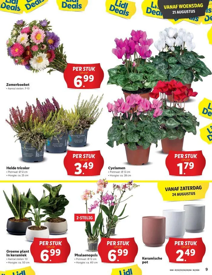 Actuele deals en aanbiedingen van 15 augustus tot 28 augustus 2024 - Folder pagina 11