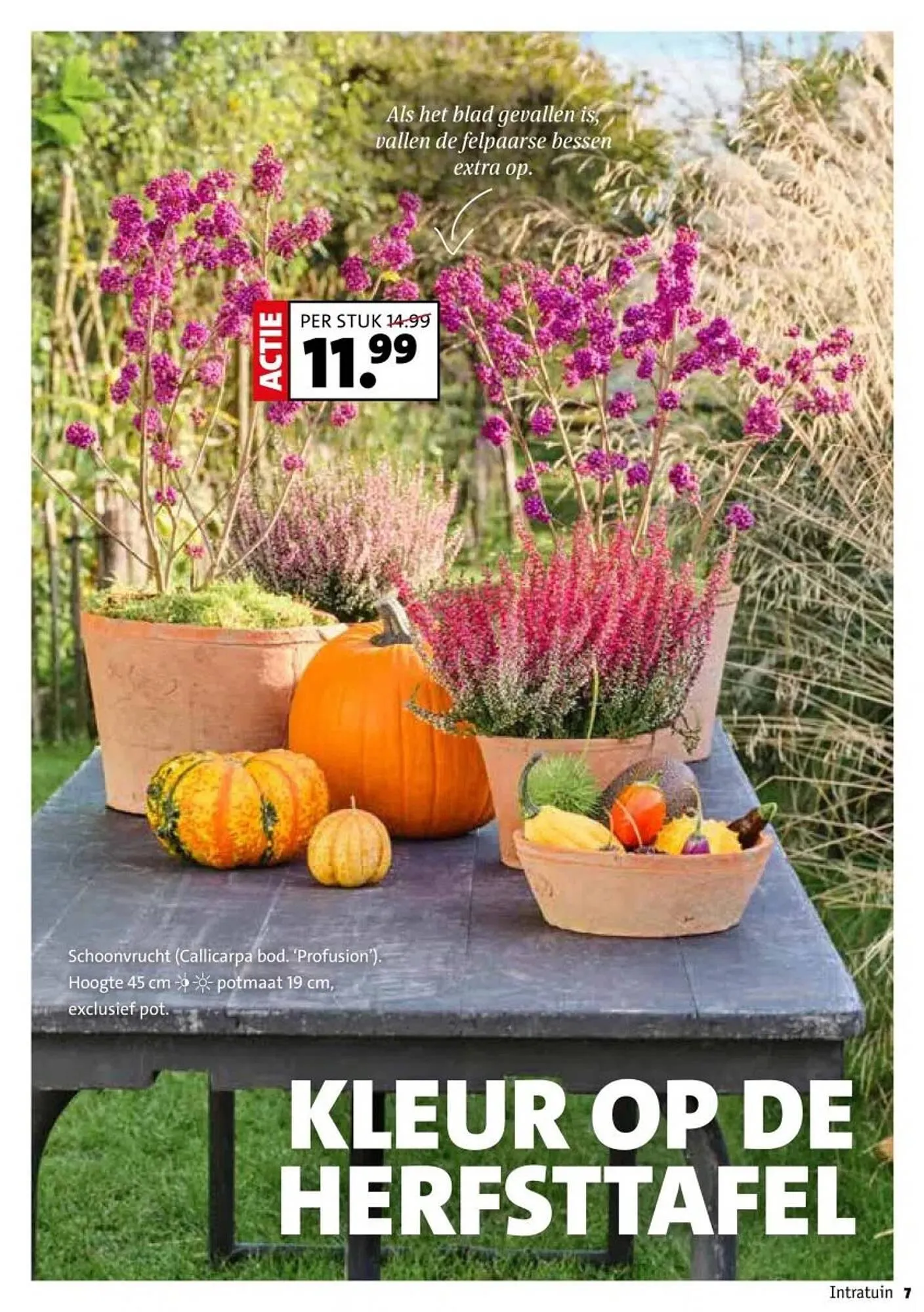 Intratuin folder van 29 september tot 5 oktober 2025 - Folder pagina 7