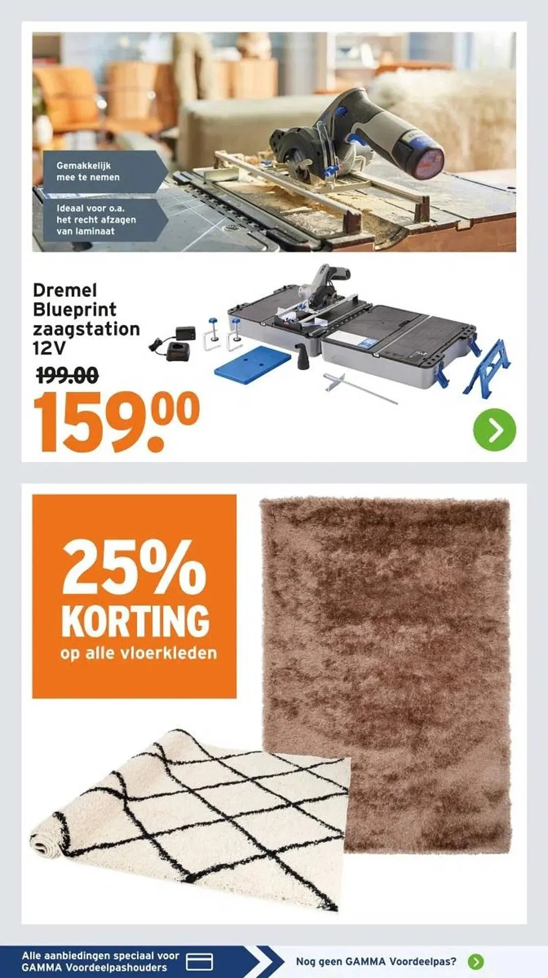 GAMMA folder van 29 september tot 5 oktober 2025 - Folder pagina 5