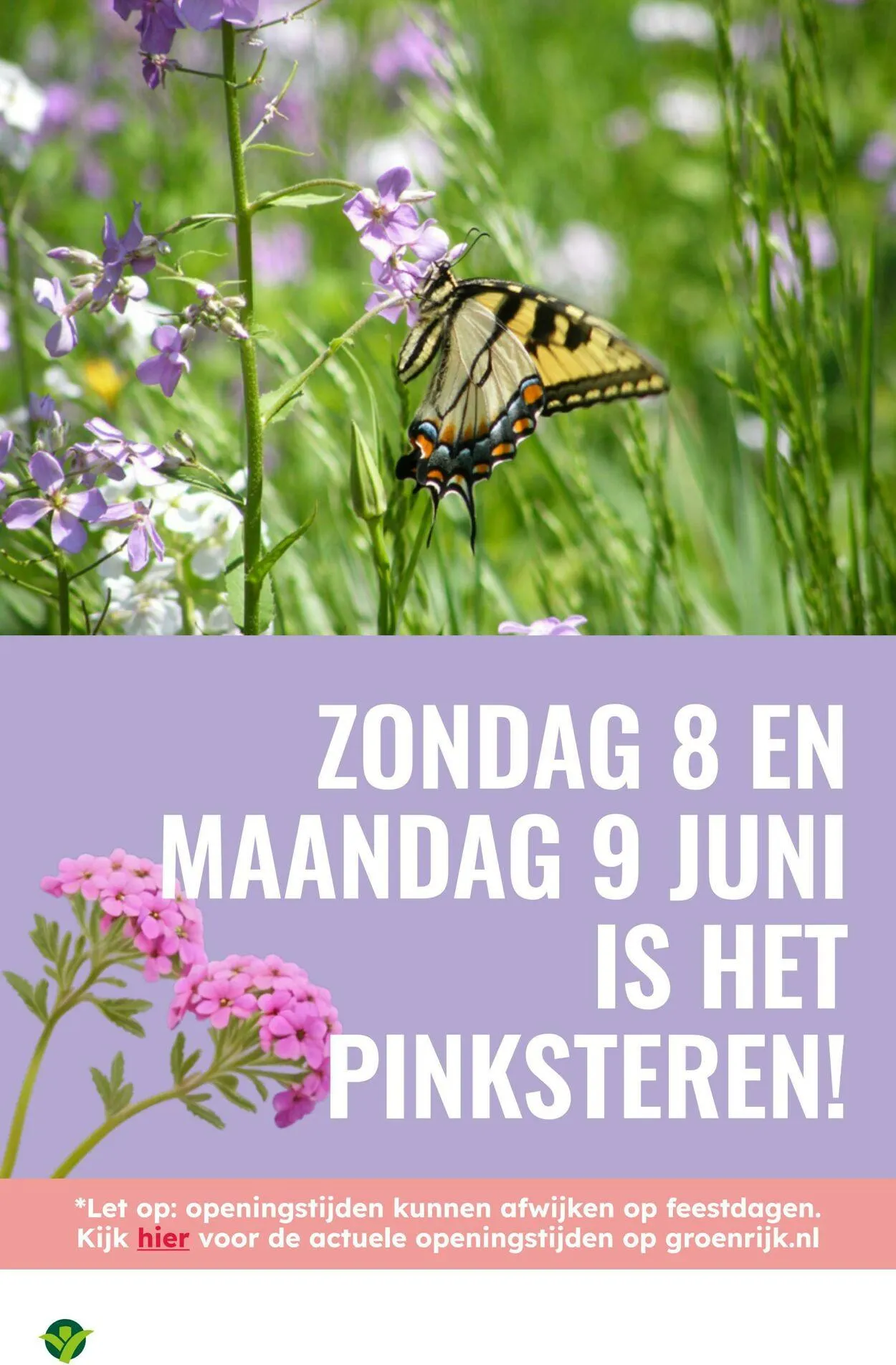 GroenRijk Actuele folder van 16 september tot 30 september 2025 - Folder pagina 11