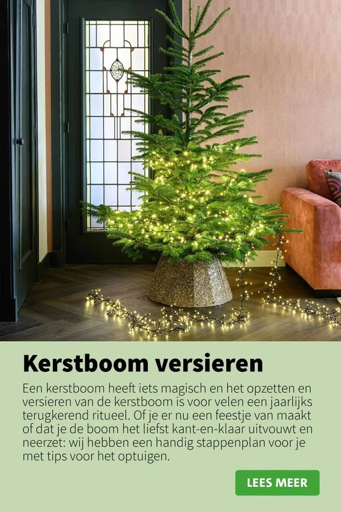 Intratuin folder van 9 oktober tot 24 december 2025 - Folder pagina 28