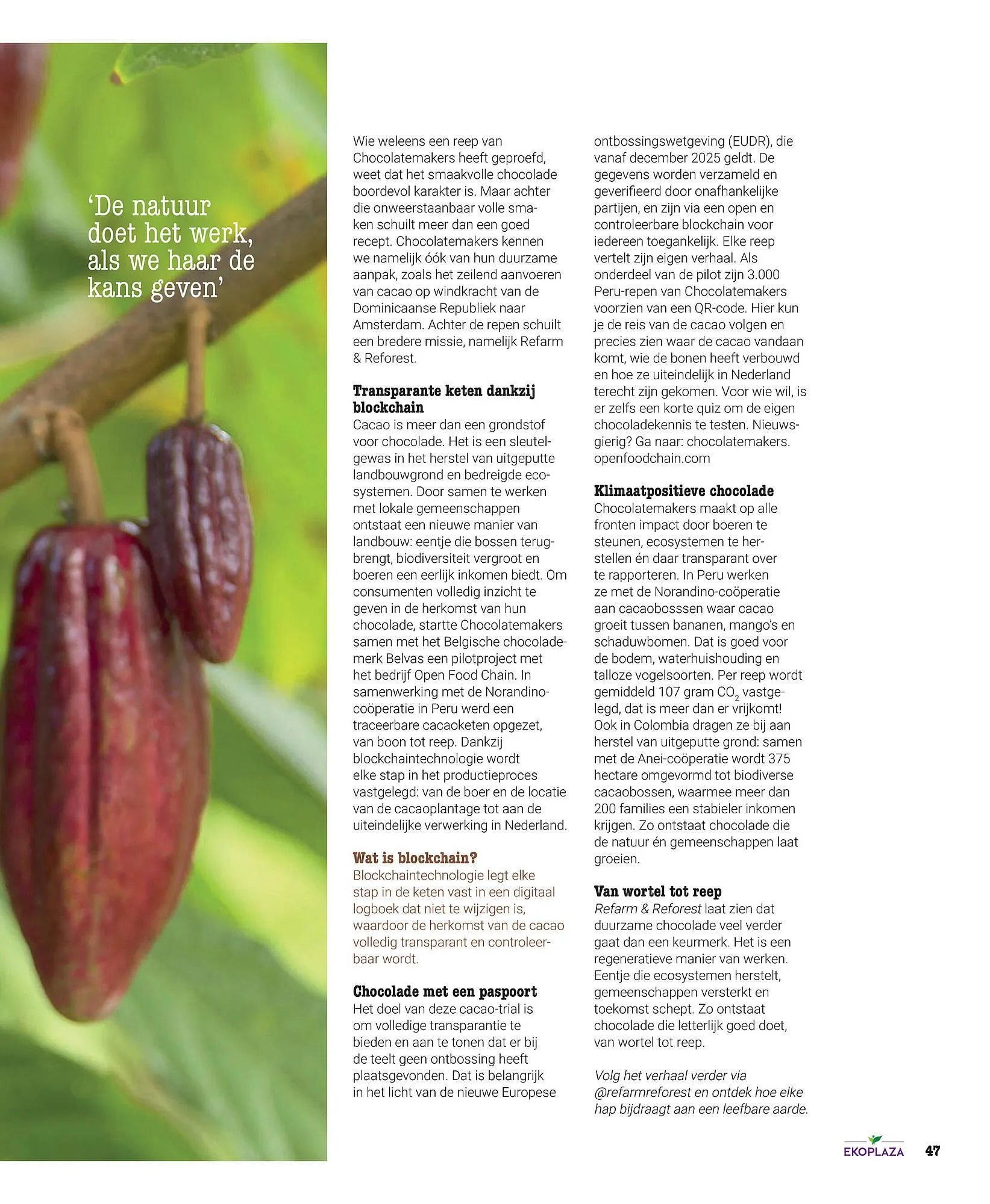 Ekoplaza magazine van 25 november tot 31 januari 2026 - Folder pagina 47