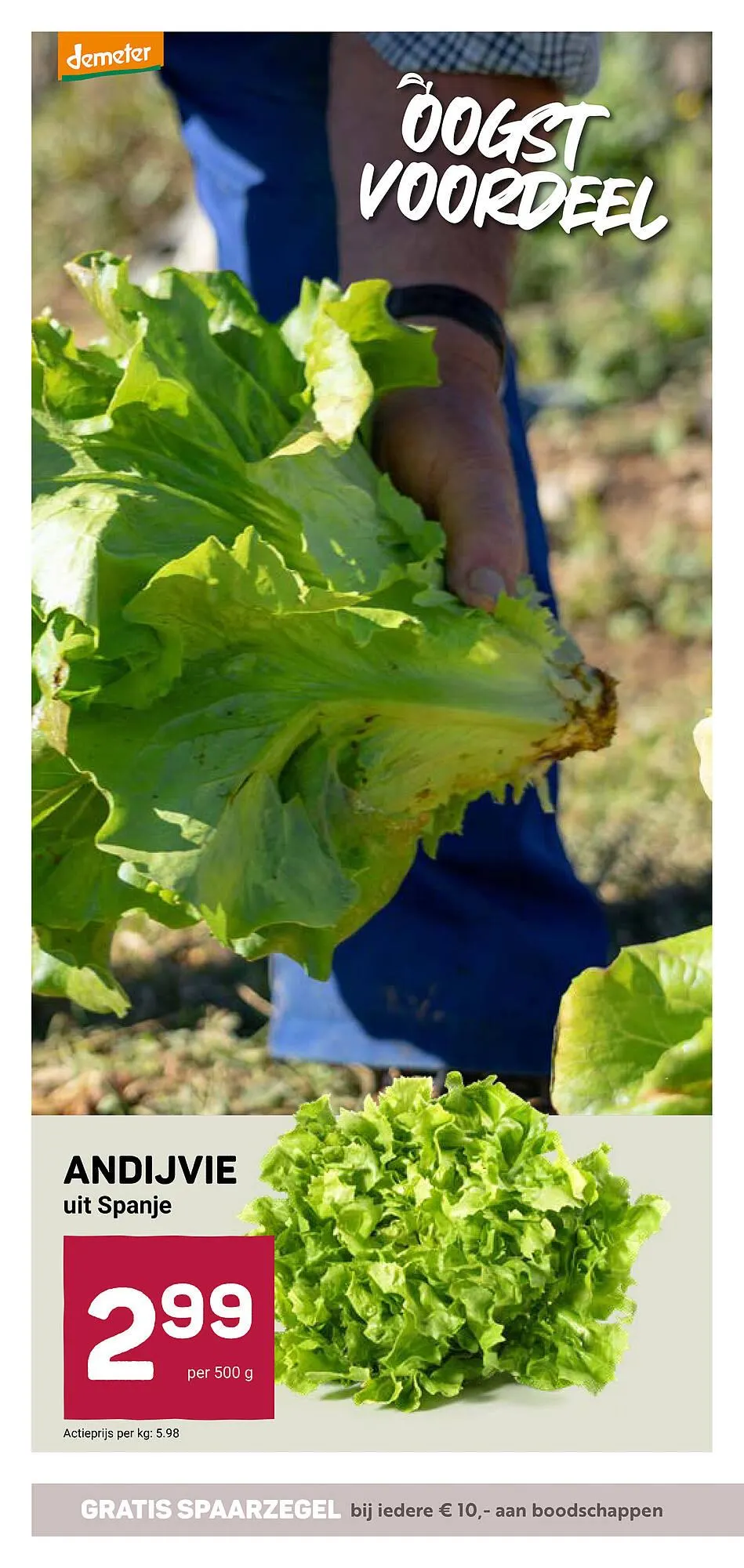 Ekoplaza folder van 28 januari tot 3 februari 2026 - Folder pagina 8