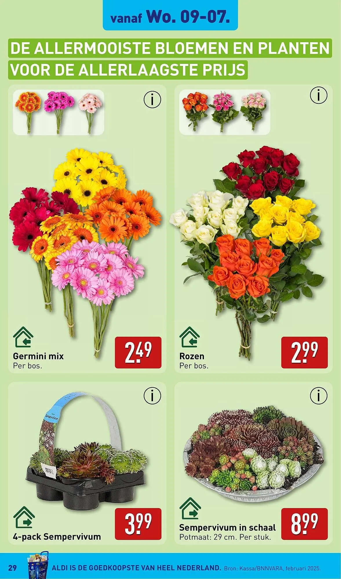 ALDI folder van 7 juli tot 13 juli 2025 - Folder pagina 29