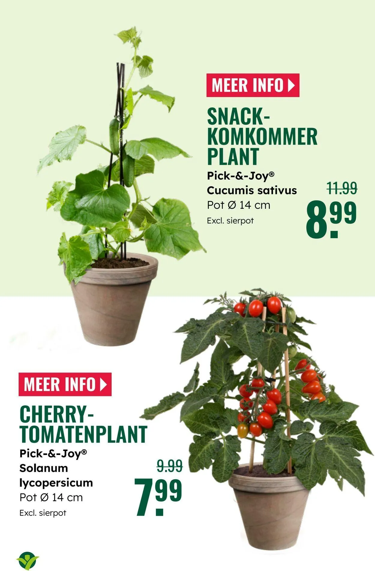 GroenRijk Actuele folder van 8 juli tot 22 juli 2025 - Folder pagina 26