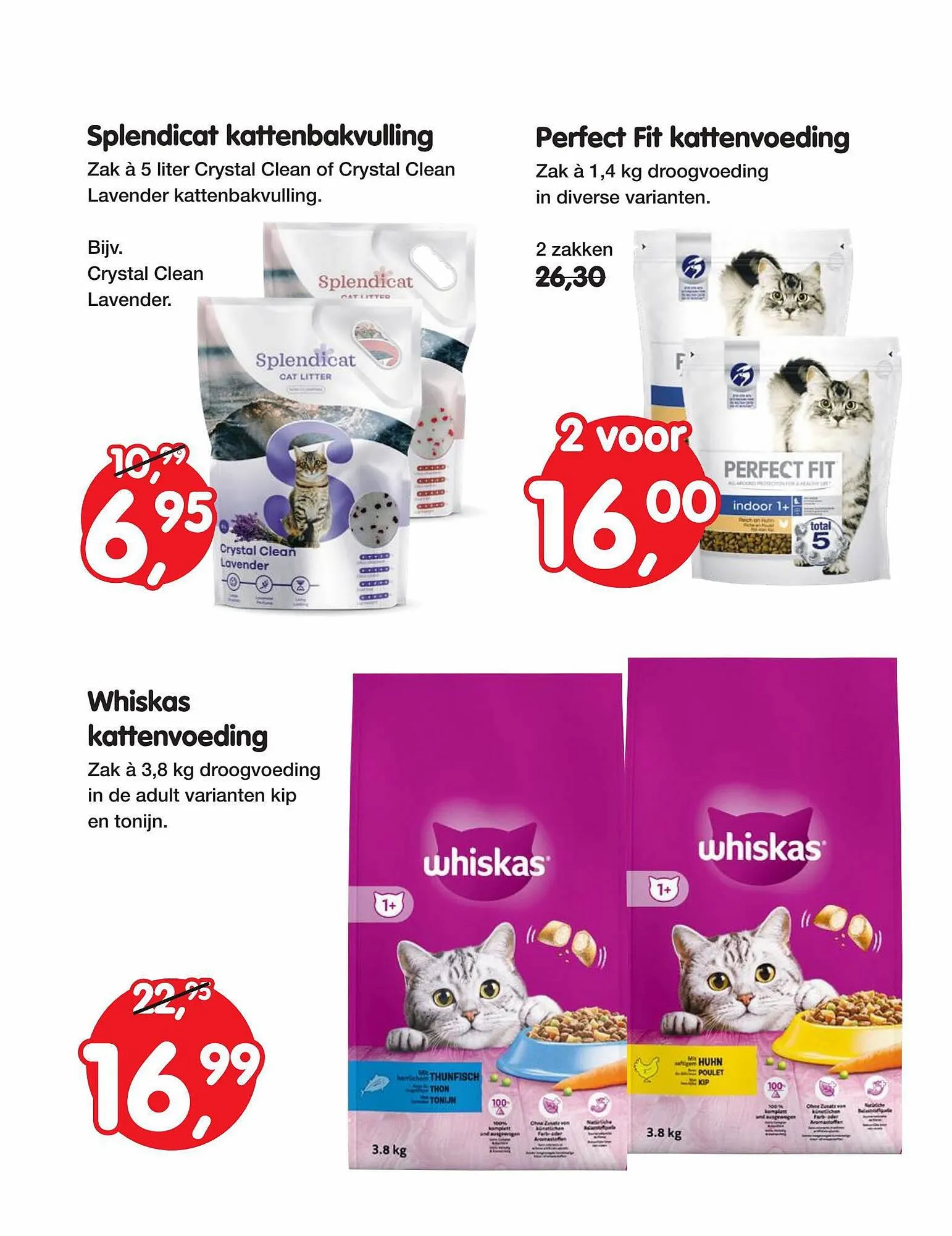 Jumper folder van 19 oktober tot 5 november 2023 - Folder pagina 15