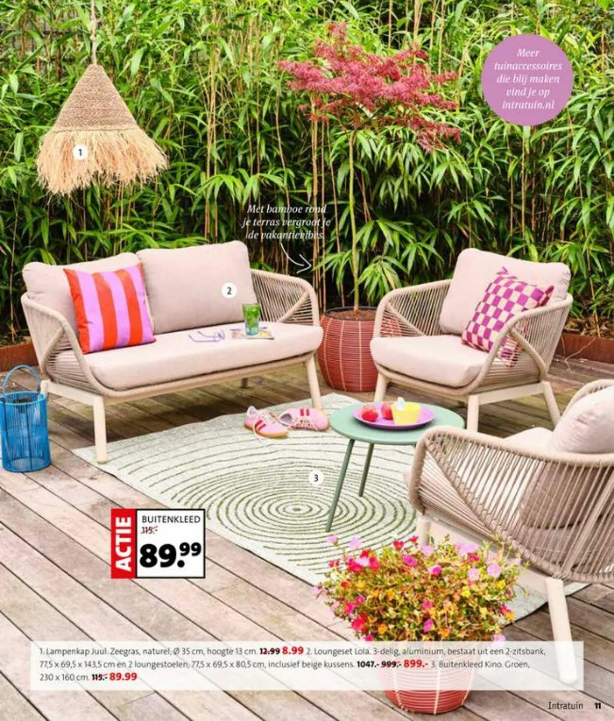 Intratuin Actuele folder van 3 augustus tot 17 augustus 2025 - Folder pagina 11