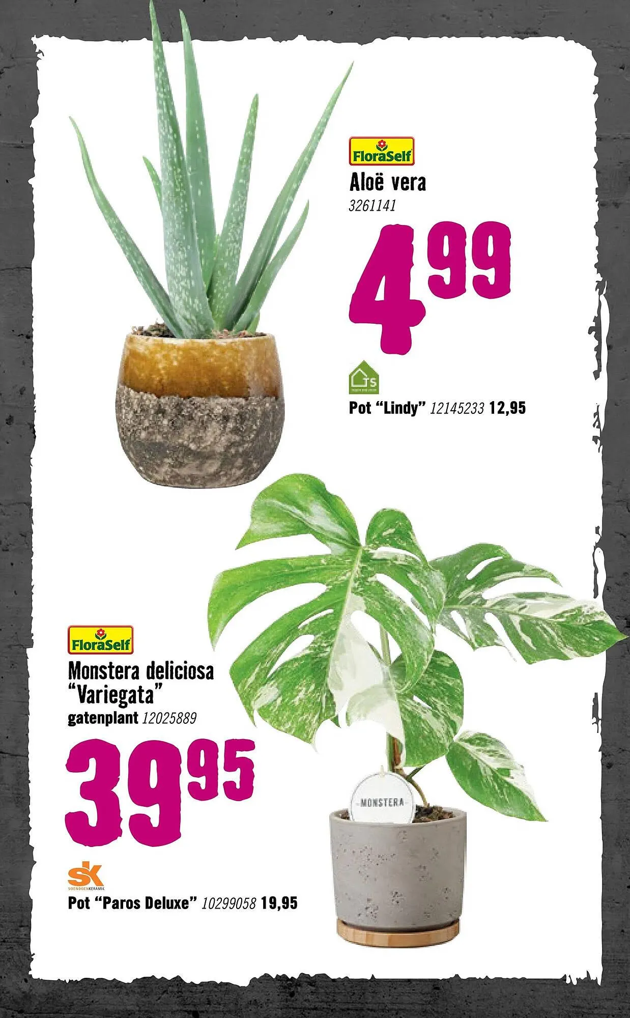 Hornbach folder van 5 januari tot 8 februari 2026 - Folder pagina 71