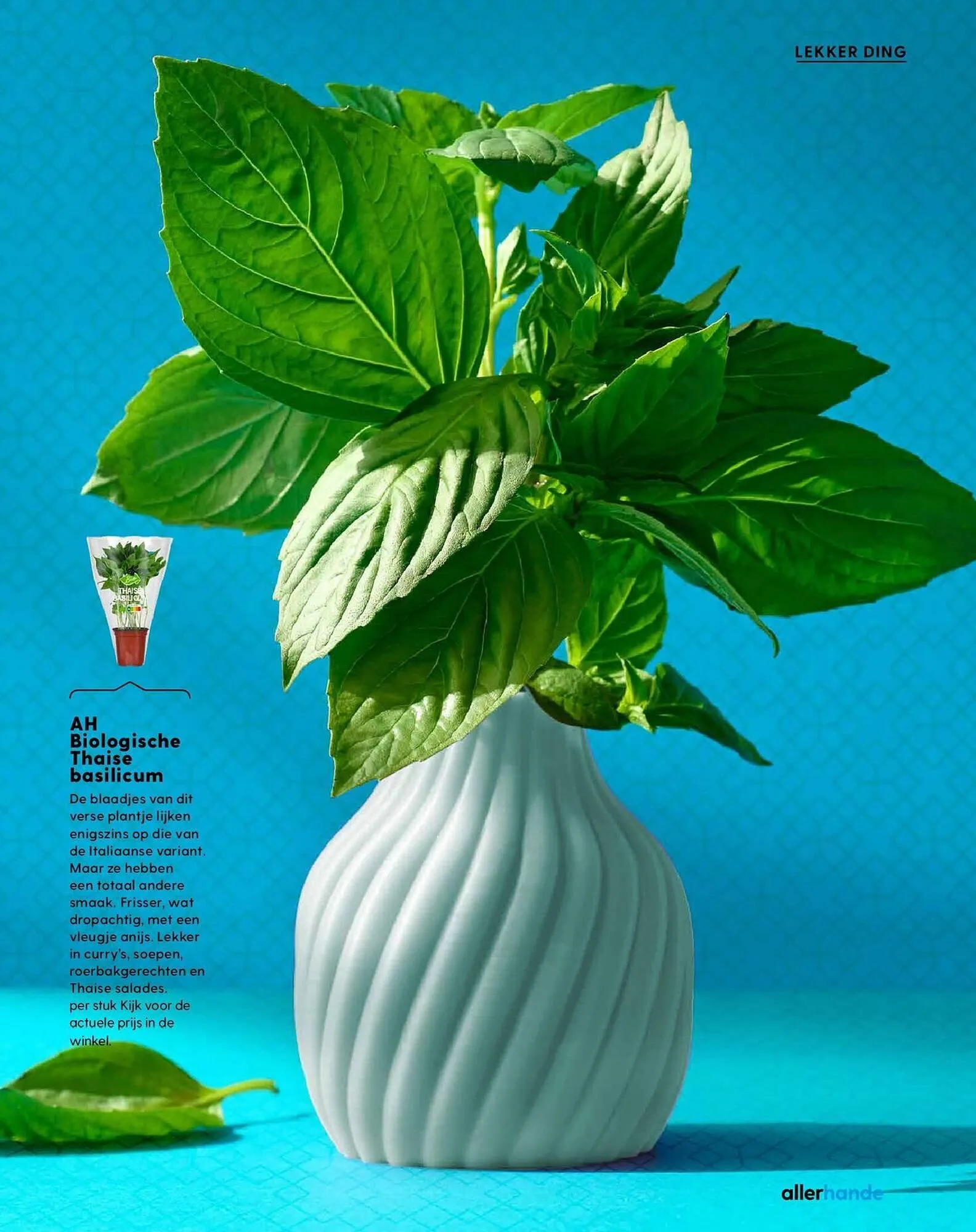 Allerhande magazine van 18 maart tot 19 mei 2025 - Folder pagina 9