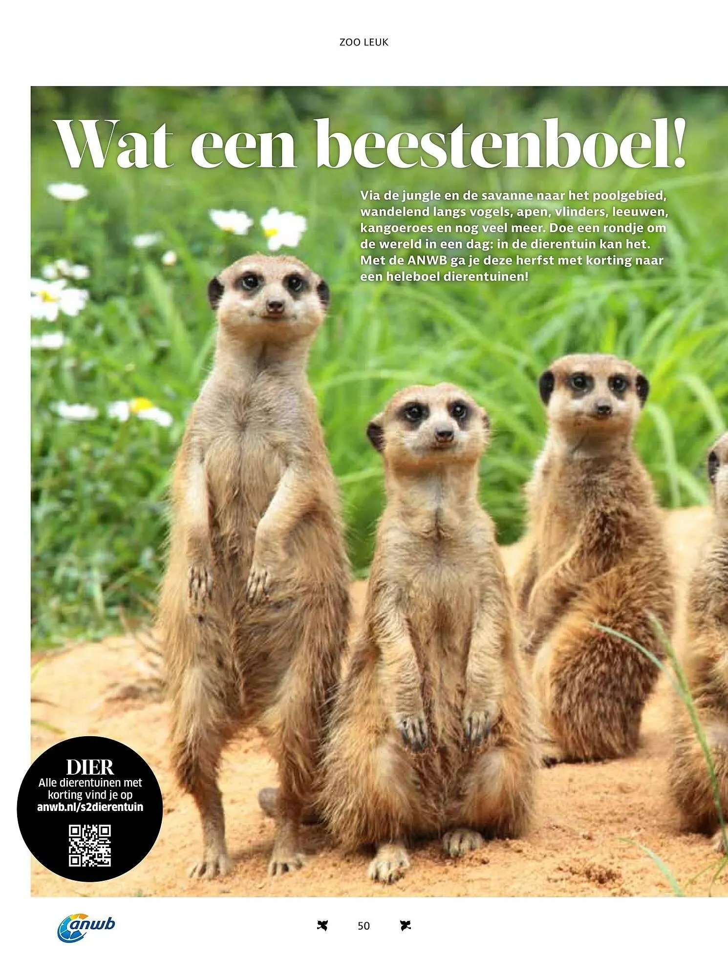 ANWB folder van 15 november tot 31 december 2025 - Folder pagina 50