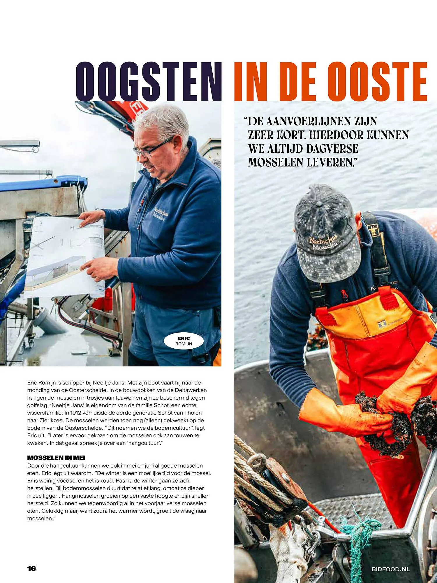 Bidfood folder van 1 mei tot 31 augustus 2025 - Folder pagina 16