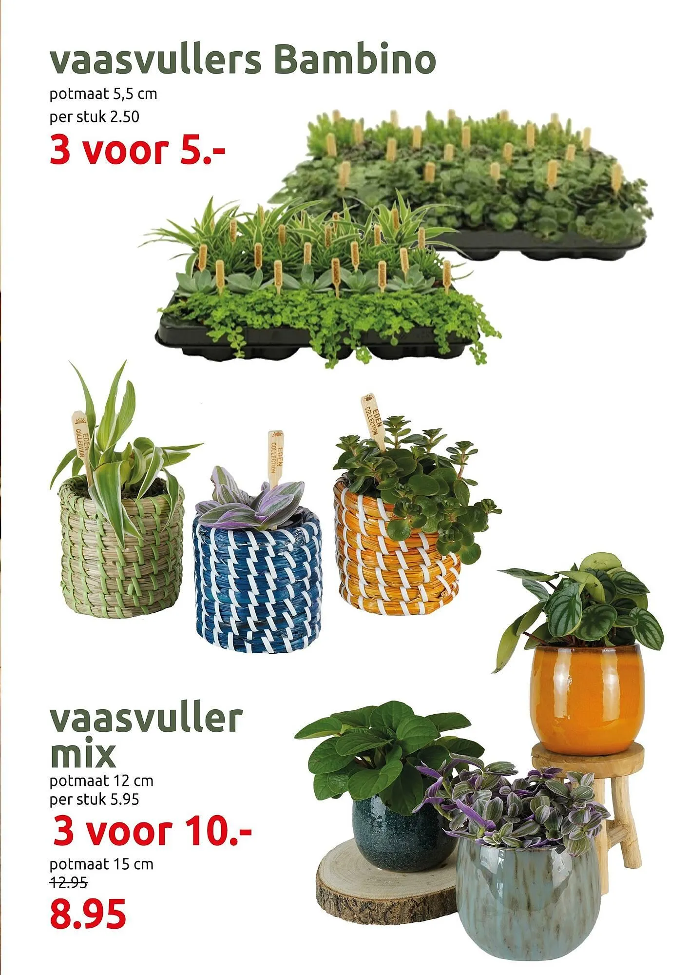 Deka Tuin folder van 19 januari tot 1 februari 2026 - Folder pagina 3