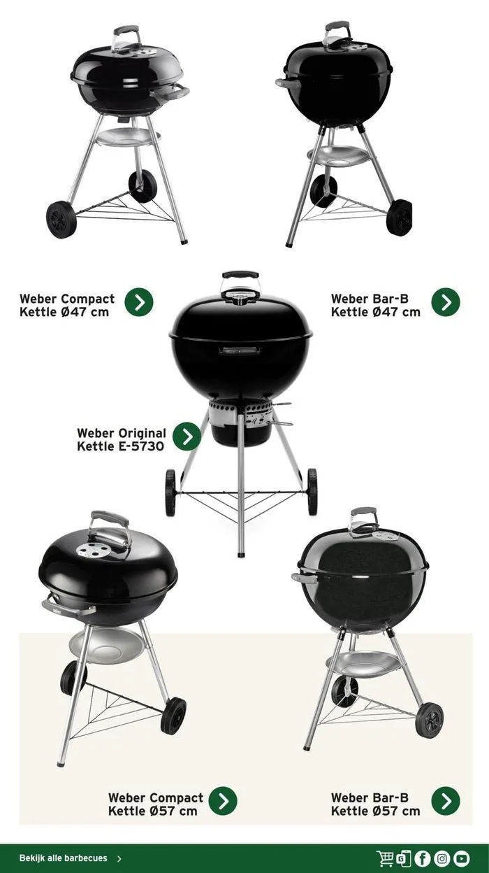Gamma Decoratief Tuinmagazine 2024 van 4 maart tot 28 februari 2025 - Folder pagina 36