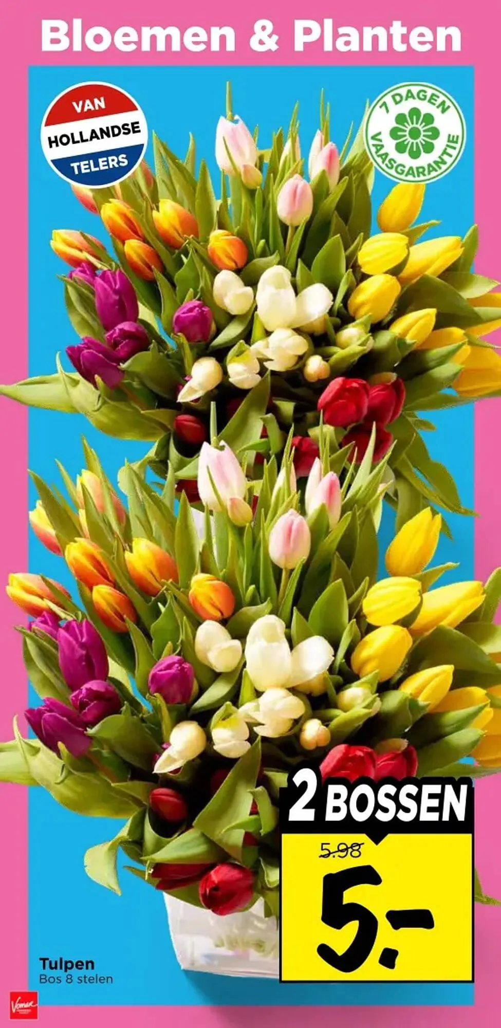 Vomar Voordeelmarkt folder van 12 maart tot 14 maart 2026 - Folder pagina 36