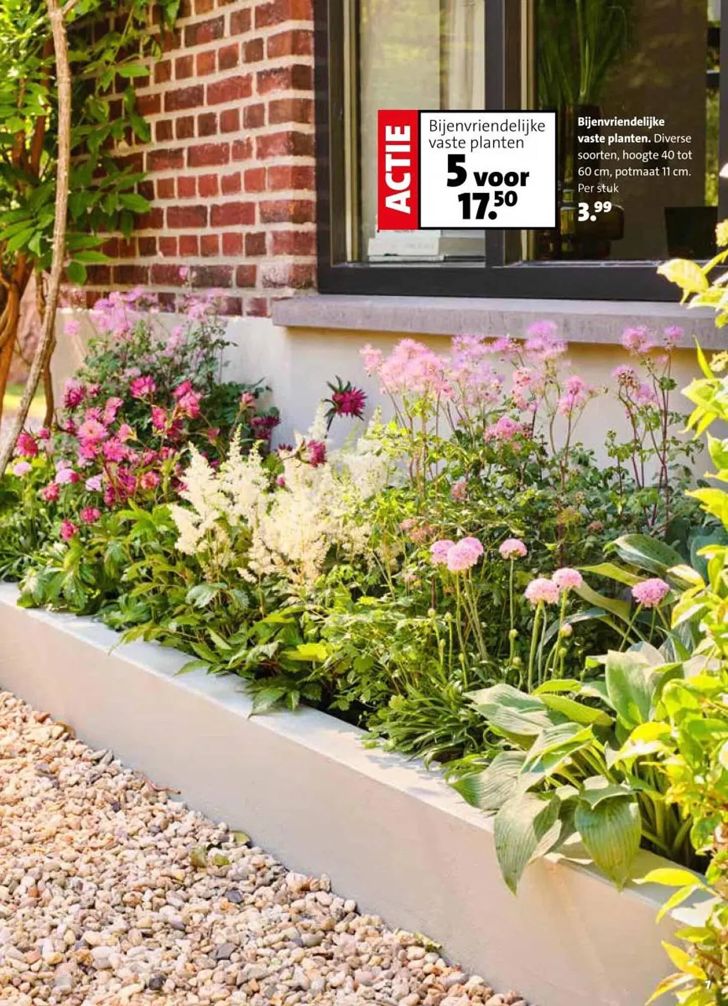 Intratuin folder van 30 maart tot 5 april 2026 - Folder pagina 7