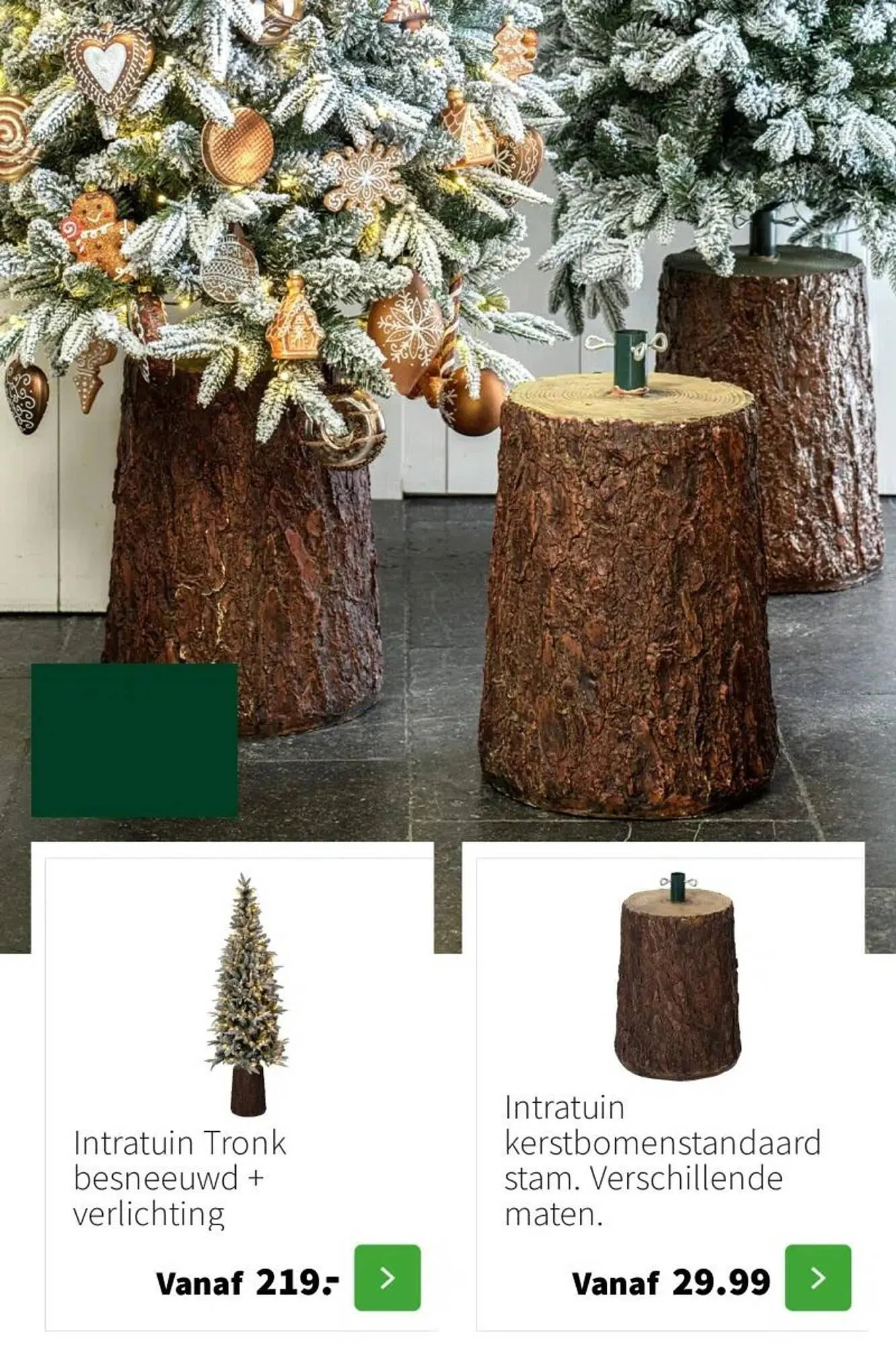 Intratuin folder van 9 oktober tot 24 december 2025 - Folder pagina 15