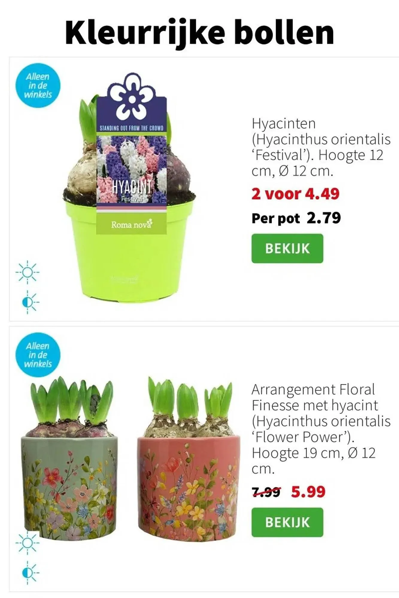 Intratuin folder van 5 januari tot 11 januari 2026 - Folder pagina 8