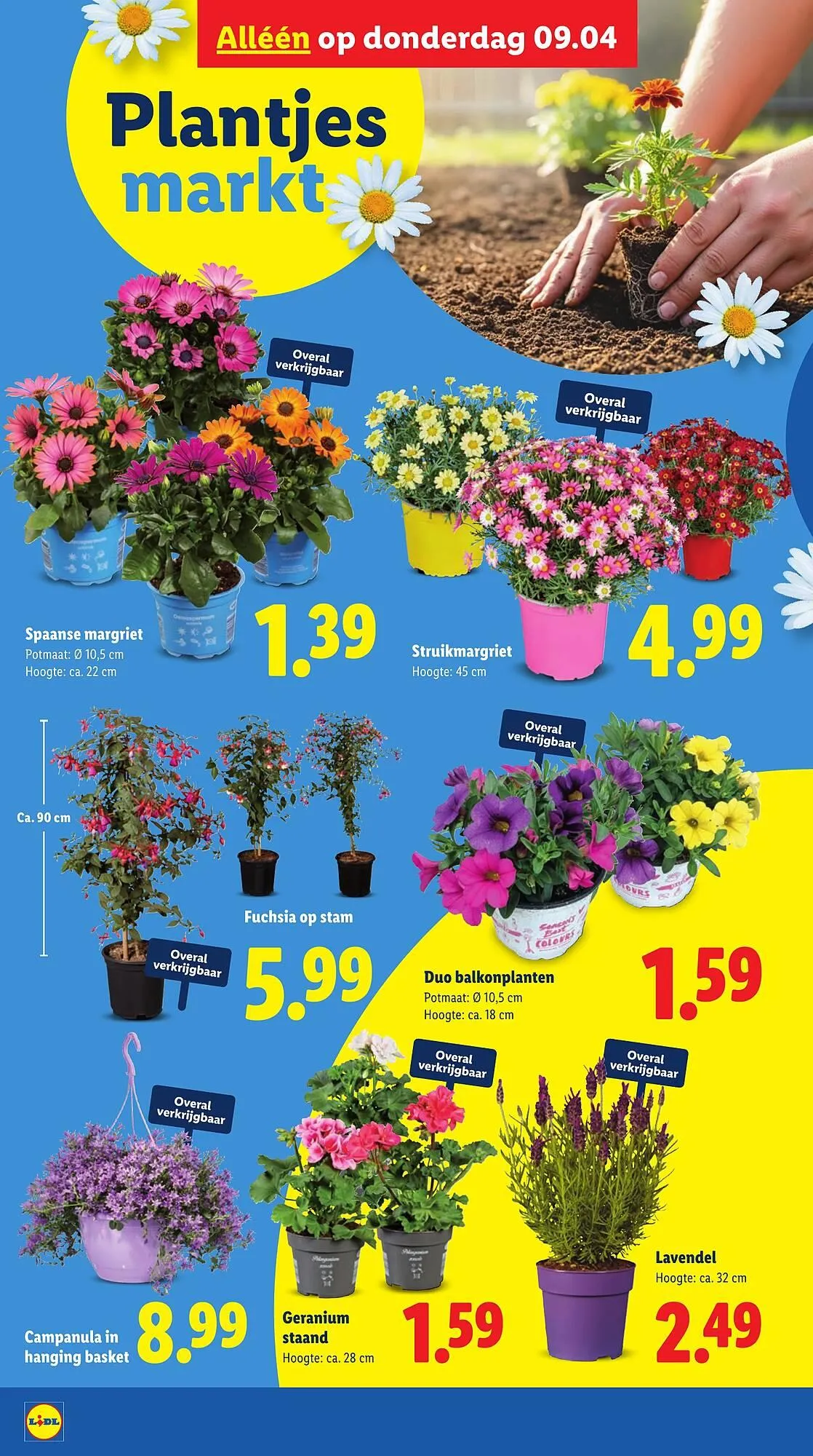 Lidl folder van 7 april tot 12 april 2026 - Folder pagina 35
