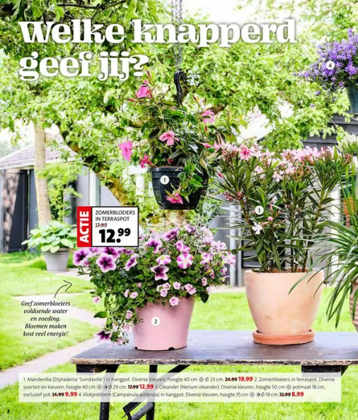 Intratuin Actuele folder van 14 september tot 28 september 2025 - Folder pagina 2