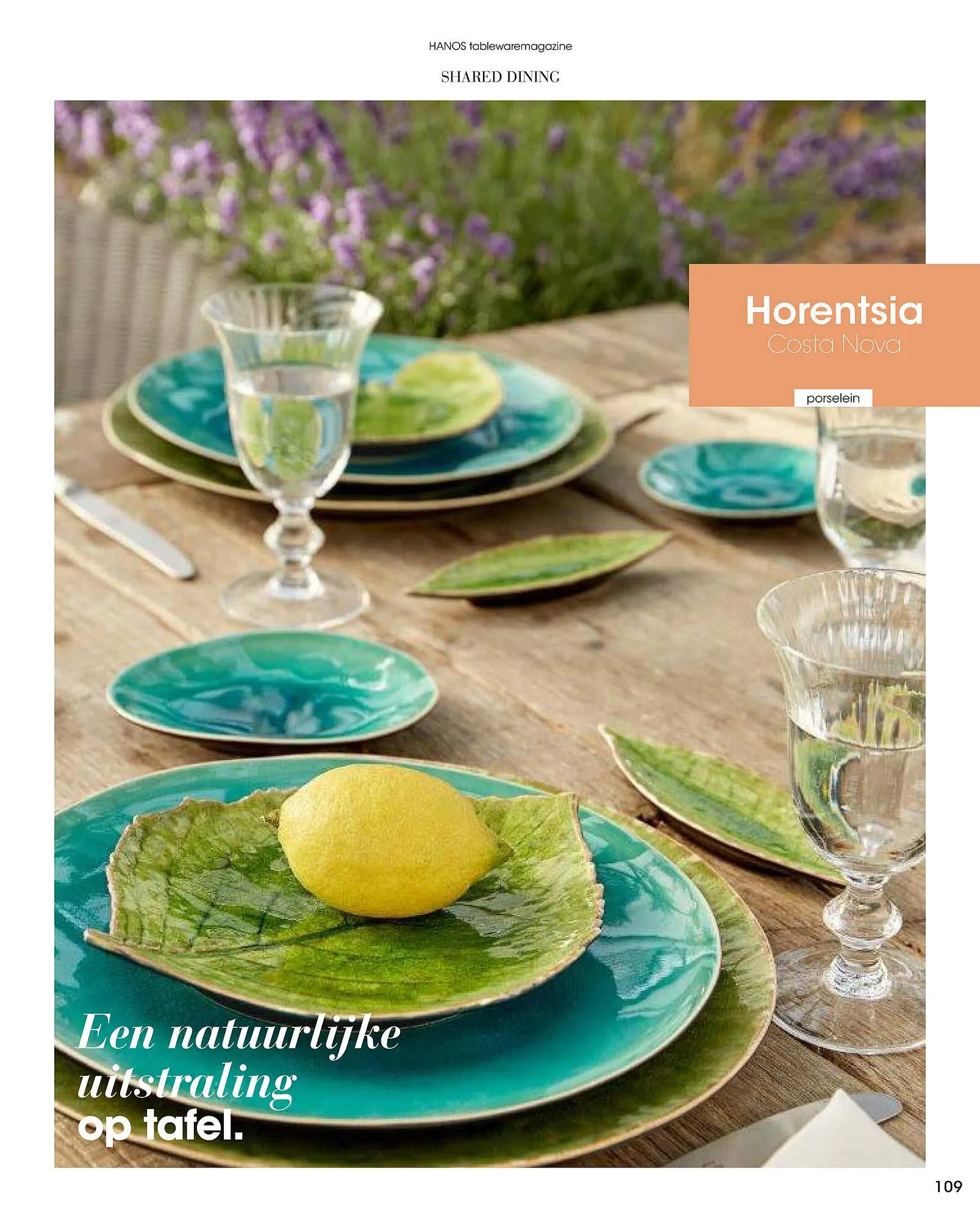 HANOS folder van 1 september tot 31 december 2025 - Folder pagina 109