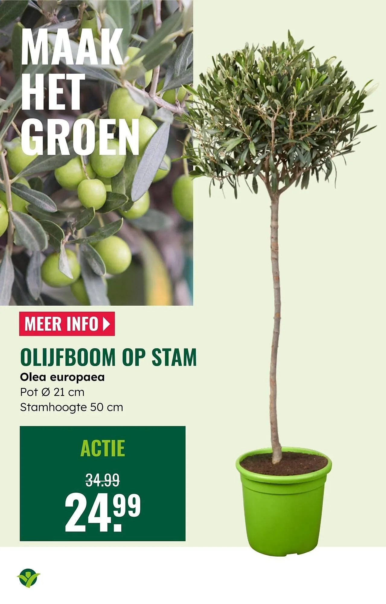 GroenRijk folder van 7 mei tot 13 mei 2025 - Folder pagina 12