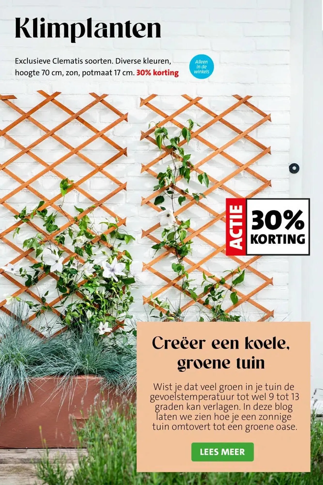 Intratuin folder van 20 april tot 26 april 2026 - Folder pagina 8