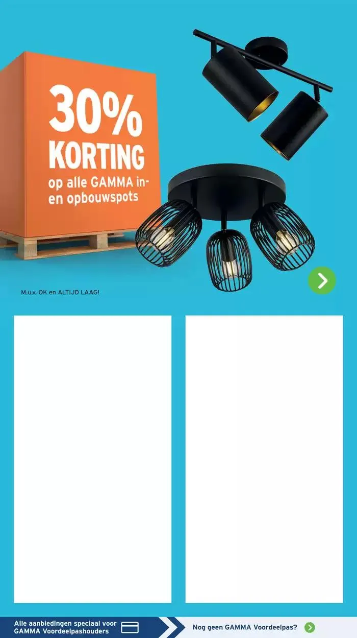 Folder Gamma van 6 januari tot 12 januari 2025 - Folder pagina 21