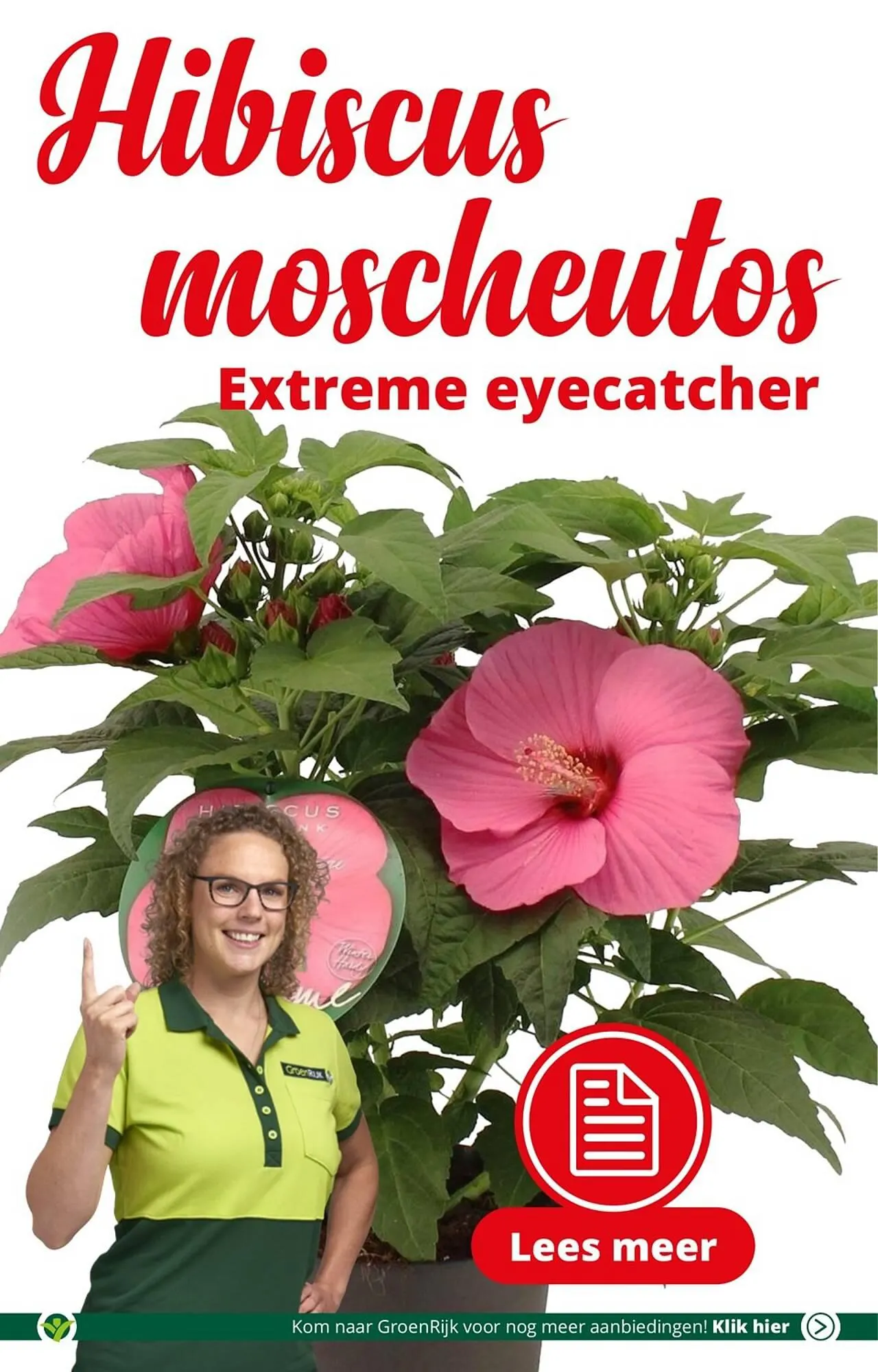 GroenRijk folder van 18 juli tot 25 juli 2023 - Folder pagina 2