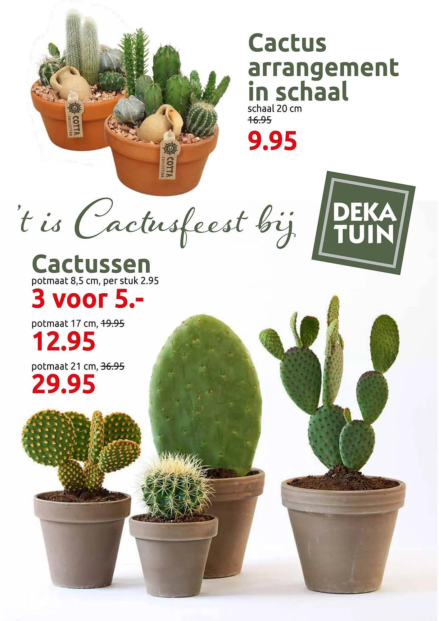 Deka Tuin folder van 27 oktober tot 9 november 2025 - Folder pagina 3