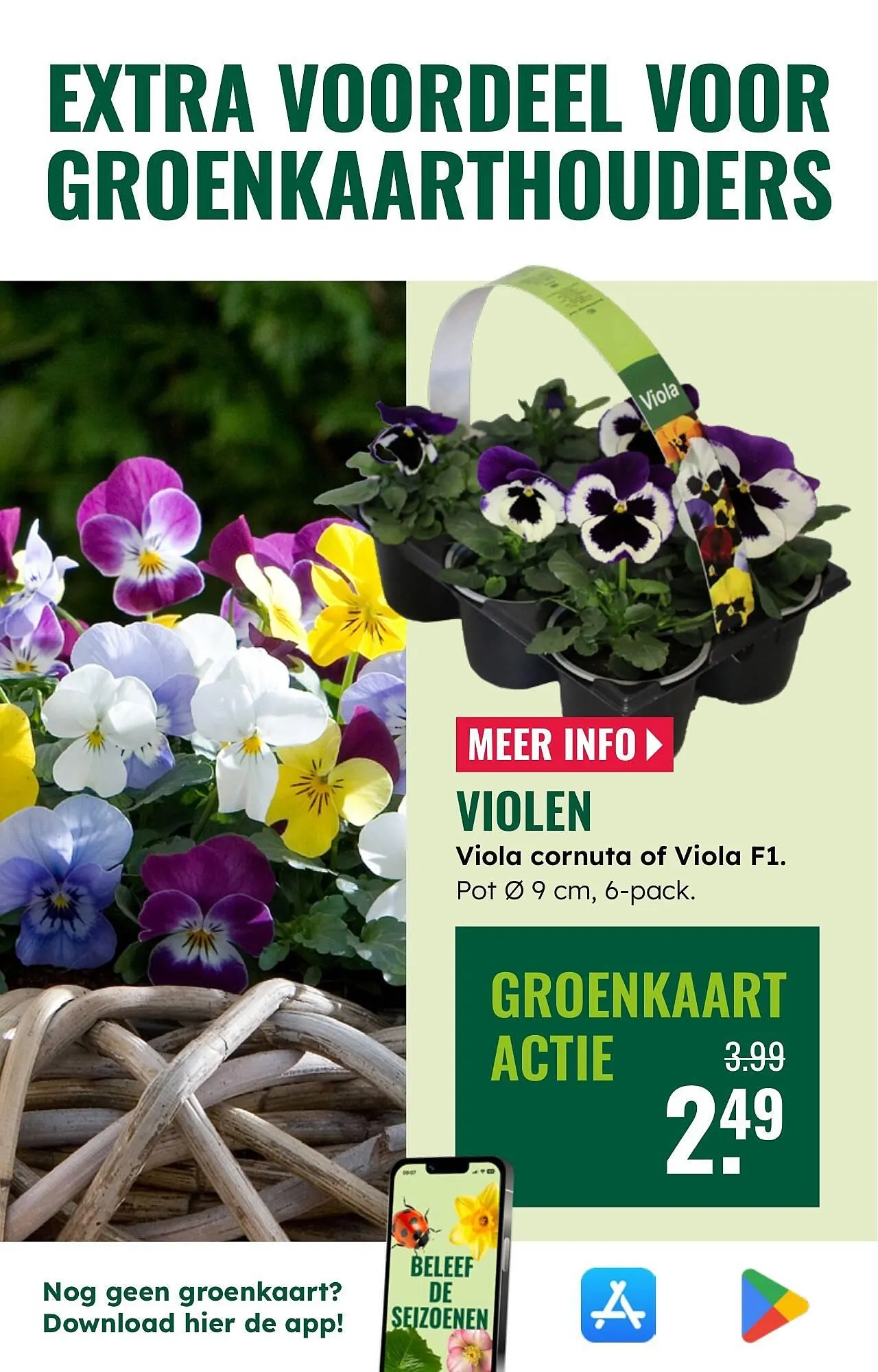 GroenRijk folder van 1 oktober tot 7 oktober 2025 - Folder pagina 13