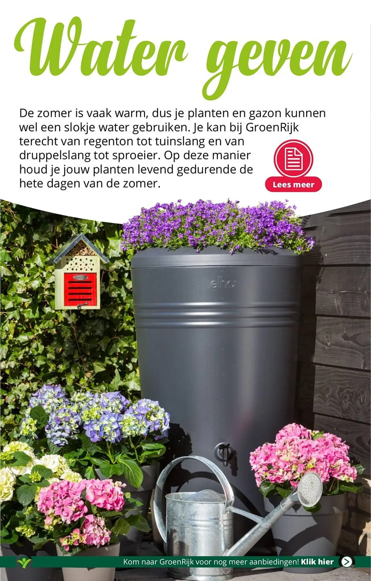 GroenRijk folder van 18 juli tot 25 juli 2023 - Folder pagina 6