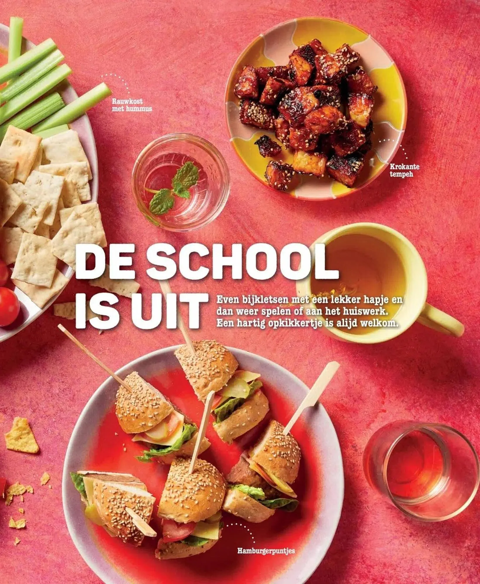 Ekoplaza folder van 19 maart tot 29 april 2025 - Folder pagina 51