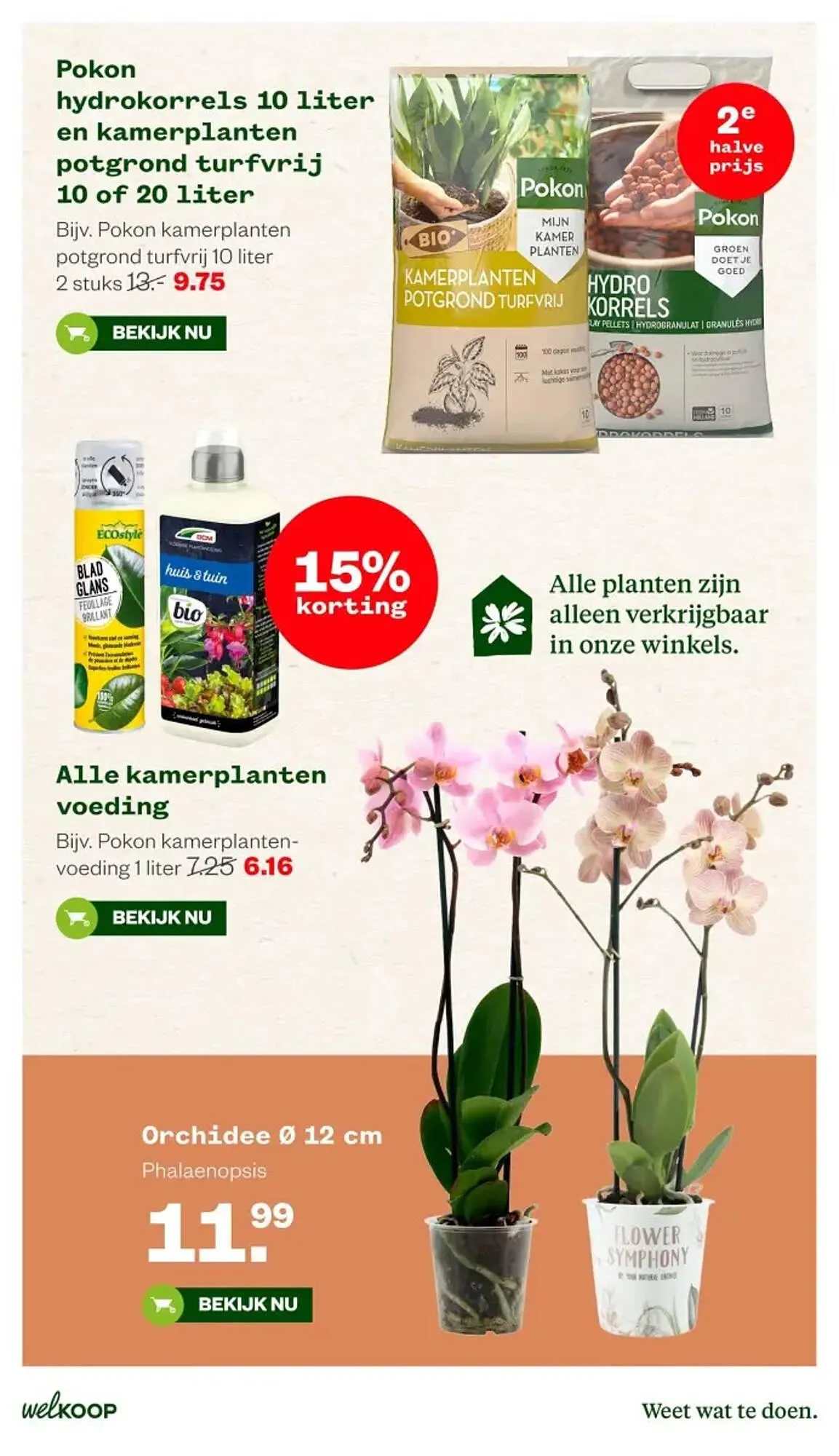 Welkoop folder van 11 mei tot 24 mei 2026 - Folder pagina 17
