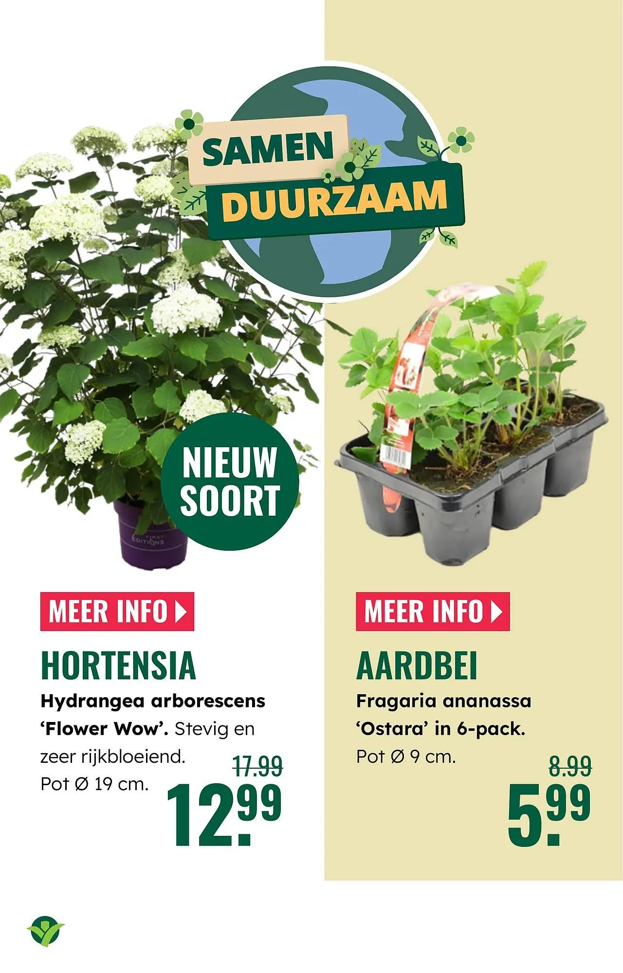 GroenRijk folder van 2 april tot 8 april 2026 - Folder pagina 12