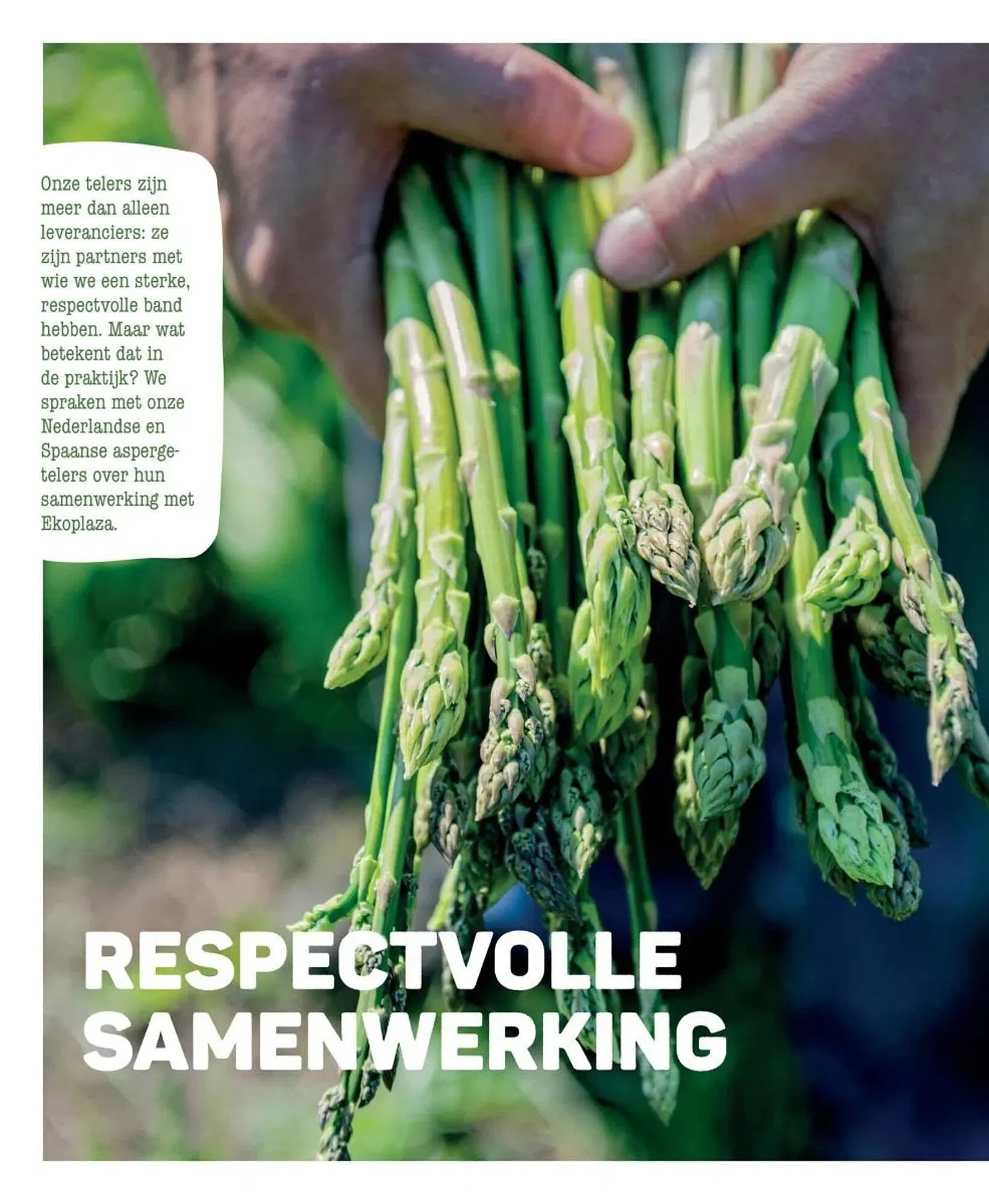 Ekoplaza folder van 19 maart tot 29 april 2025 - Folder pagina 6