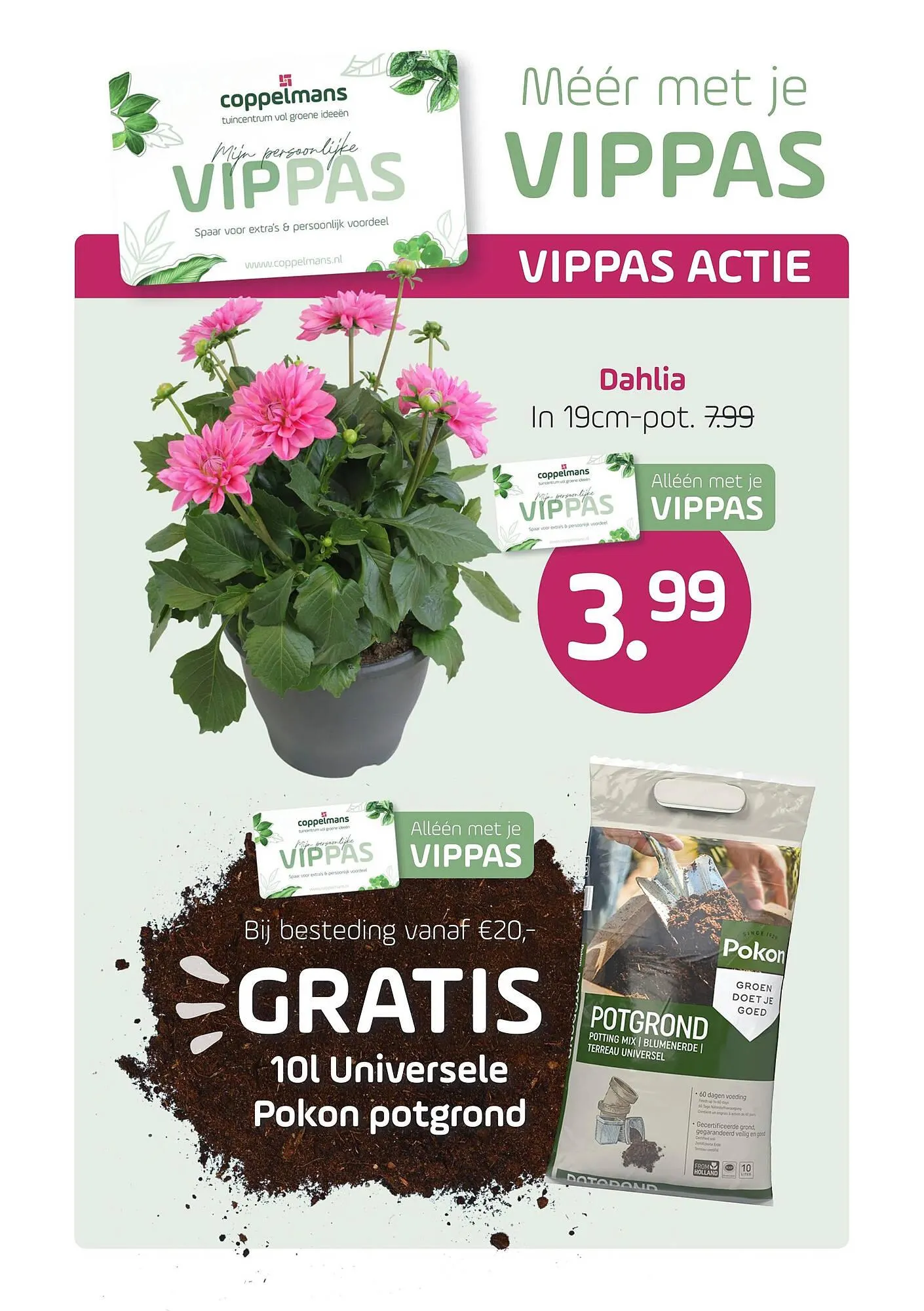 Coppelmans folder van 16 juni tot 22 juni 2025 - Folder pagina 2