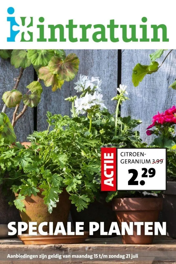 Folder week 29 2024 dyn van 15 juli tot 29 juli 2024 - Folder pagina 1