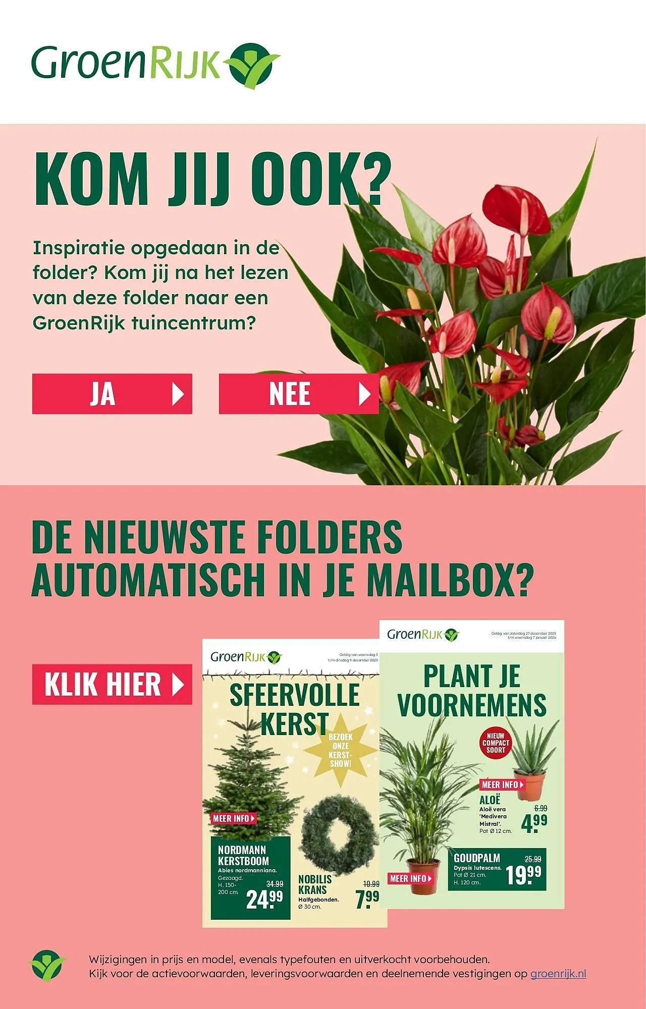GroenRijk folder van 12 februari tot 18 februari 2026 - Folder pagina 19