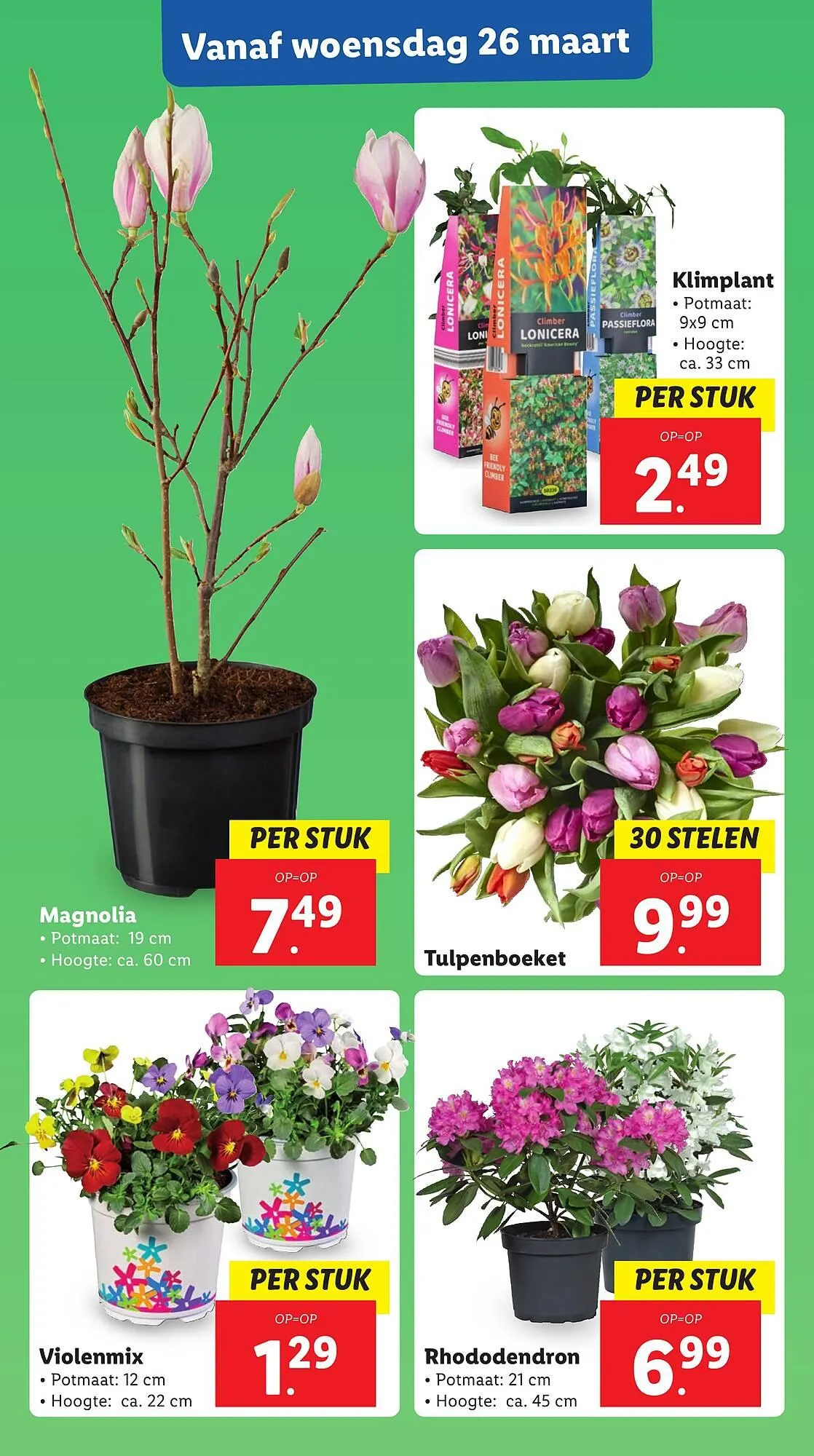 Lidl folder van 24 maart tot 30 maart 2025 - Folder pagina 24