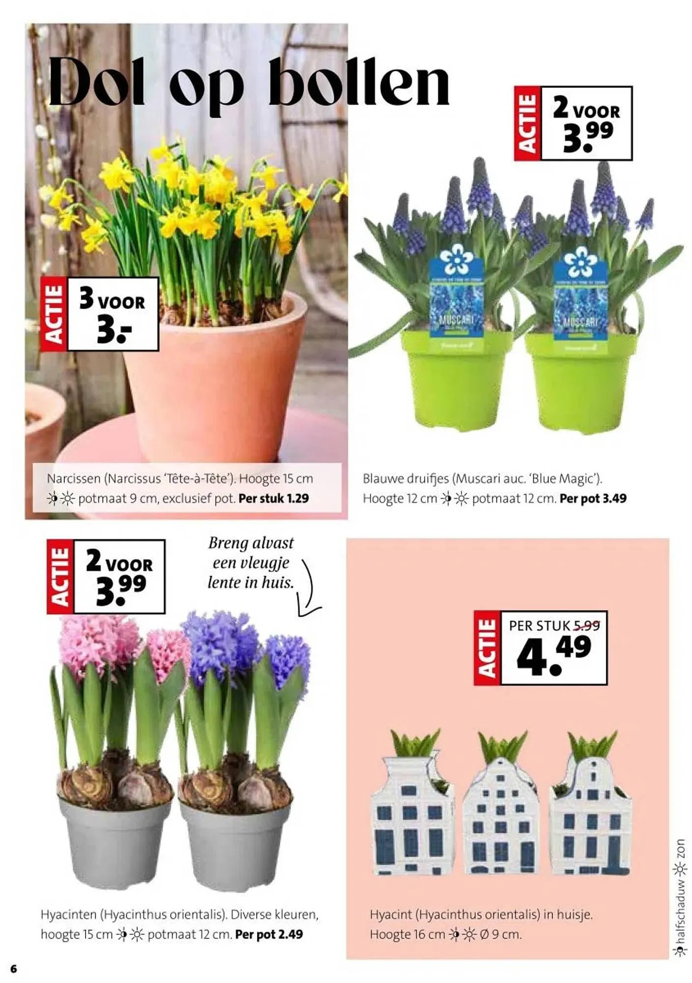 Intratuin folder van 29 december tot 4 januari 2026 - Folder pagina 6