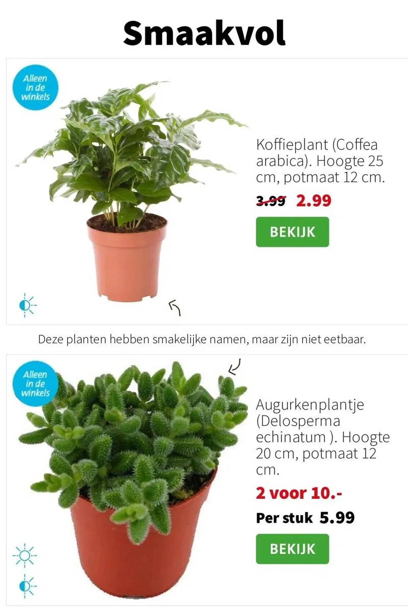 Intratuin folder van 26 januari tot 1 februari 2026 - Folder pagina 6