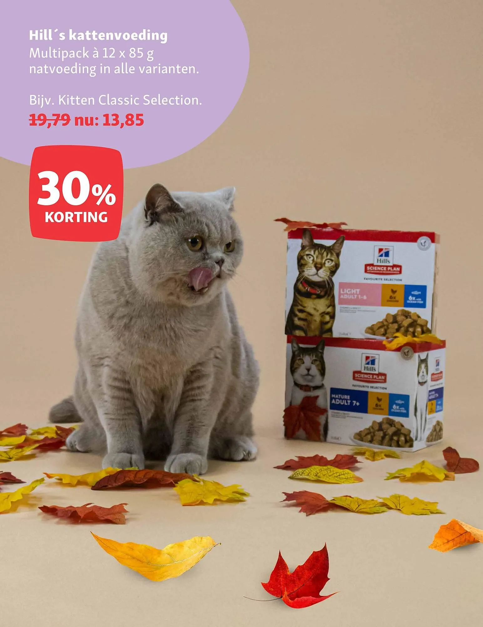 Maxi Zoo folder van 15 december tot 28 december 2025 - Folder pagina 13