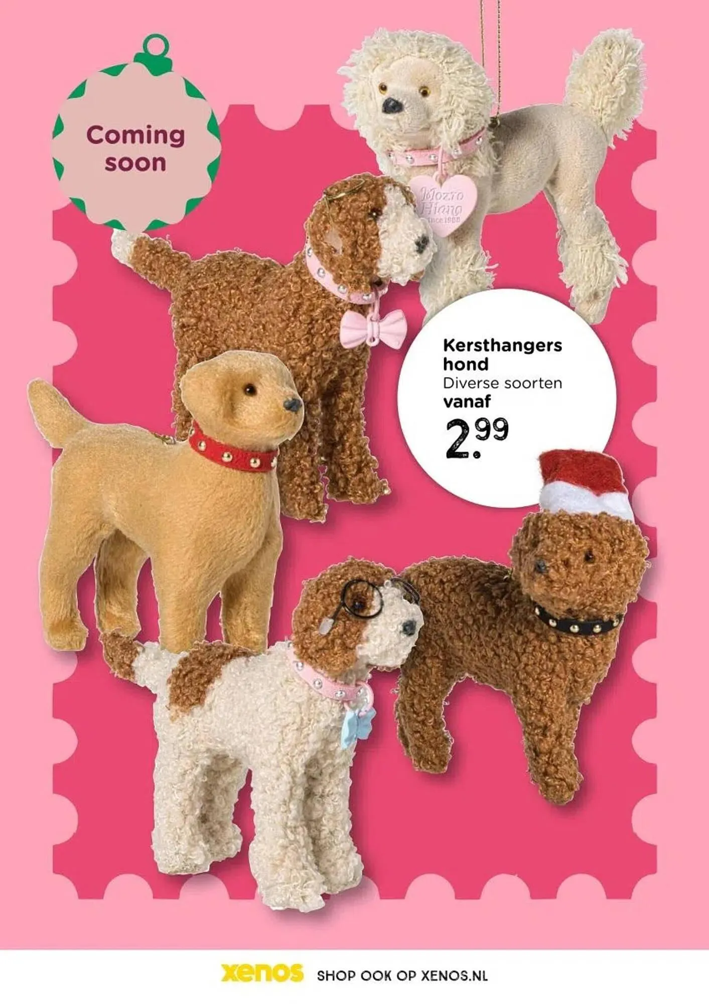 Xenos folder van 26 oktober tot 1 januari 2026 - Folder pagina 59