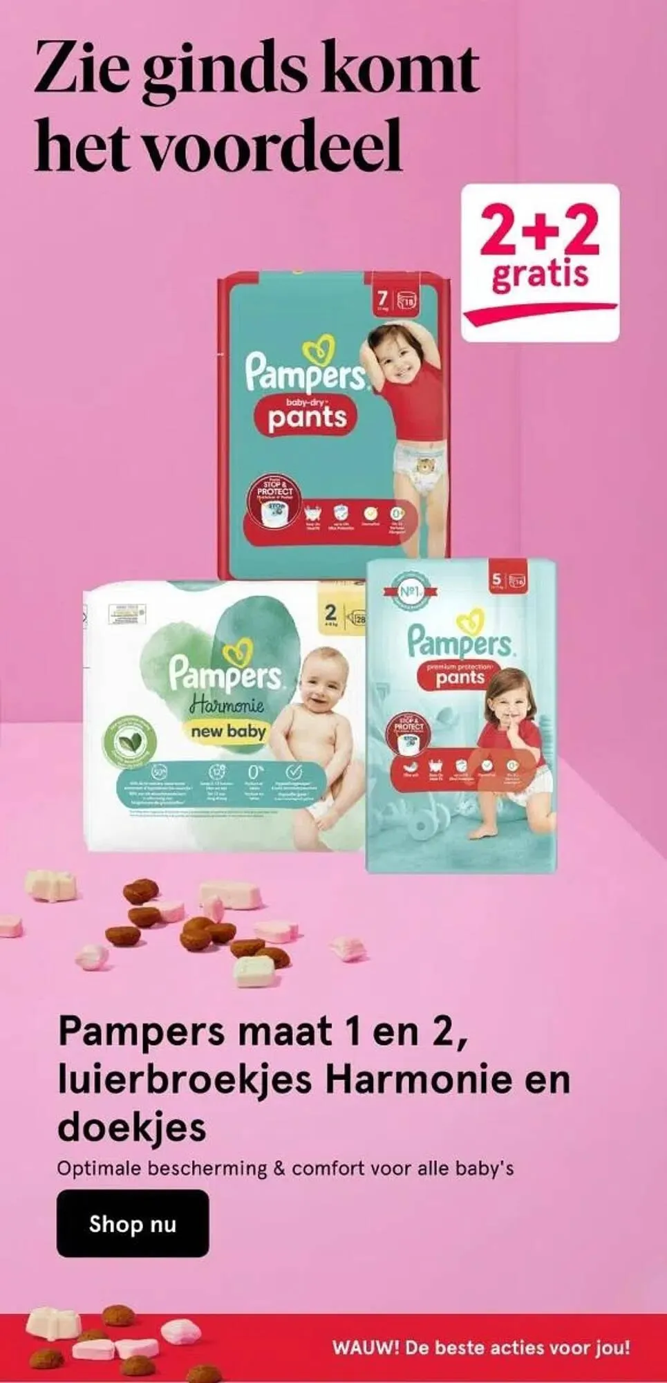 Etos folder van 27 november tot 3 december 2023 - Folder pagina 29