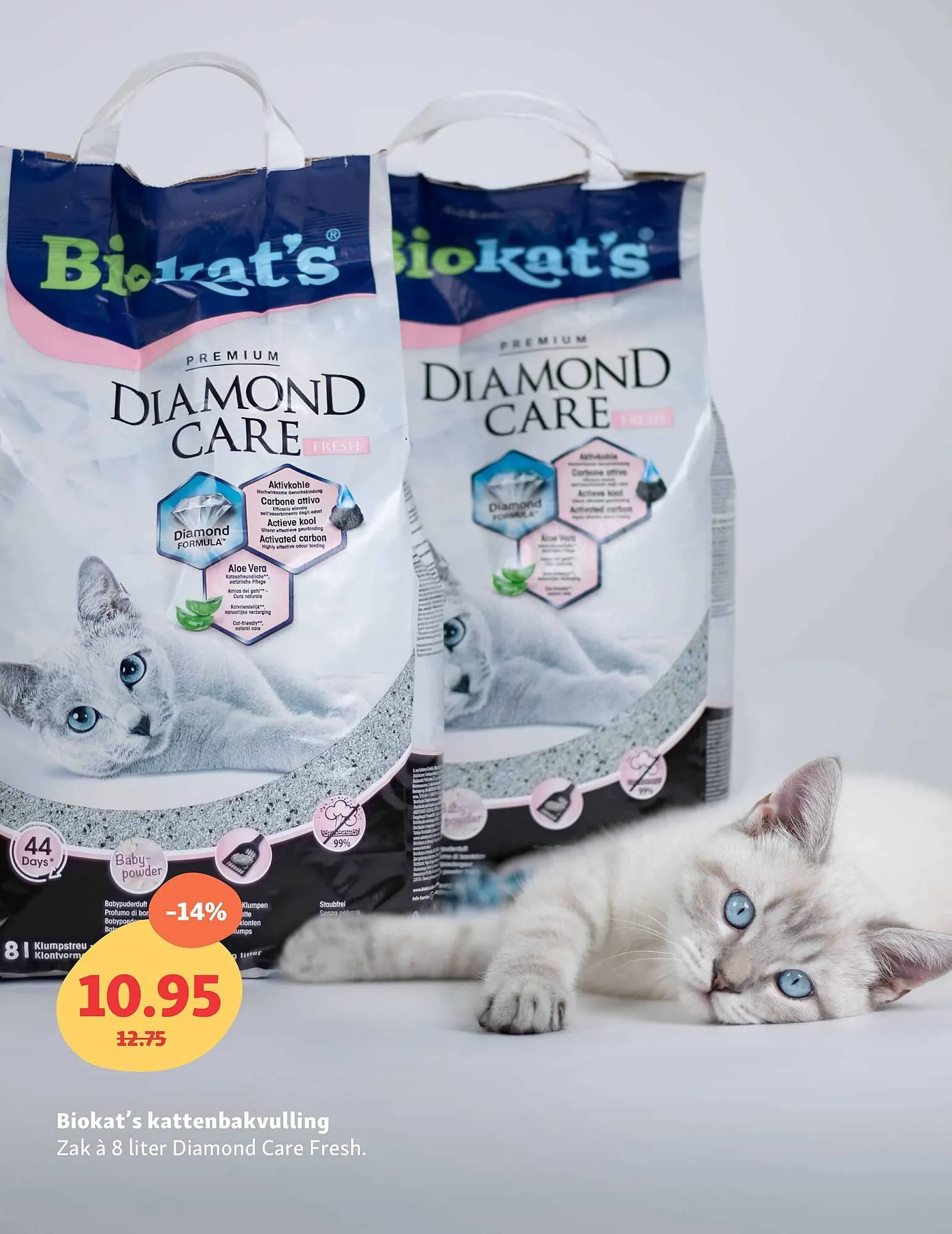 Maxi Zoo folder van 30 december tot 19 januari 2025 - Folder pagina 13